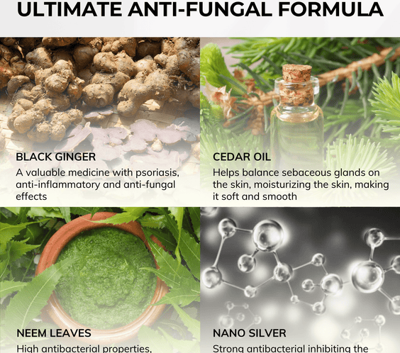 ABERA Belani Retinol Cream for Face, hidratante facial con crema de colágeno y ácido hialurónico, antiarrugas reduce las líneas finas, crema nocturna antienvejecimiento para mujeres